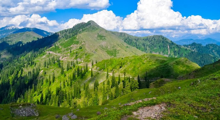 J&K witnesses substantial increase in its total forest cover in past three years: Forest Survey report